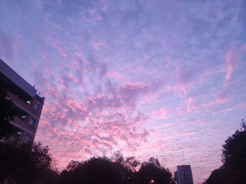 十大最好听的背景纯音乐大全，助你放松享受美妙音乐的片刻安宁