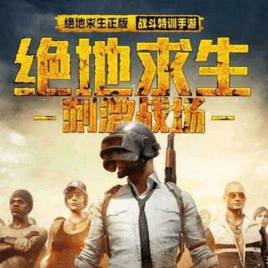 (王者荣耀 绝地求生)王者争锋游戏：揭示绝地求生的策略与技巧，成就你的荣耀之路