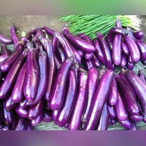 茄子快传电脑版创建热点失败原因及解决方法详解,让你轻松搞定网络分享问题 茄子快传电脑版创建热点失败原因及解决方法详解,让你轻松搞定网络分享问题