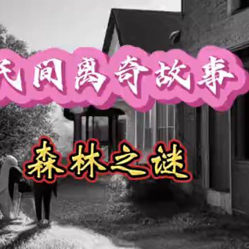 (大冒险家:探秘未知世界的惊险电视剧在线观看)大冒险家：探秘未知世界的惊险电视剧