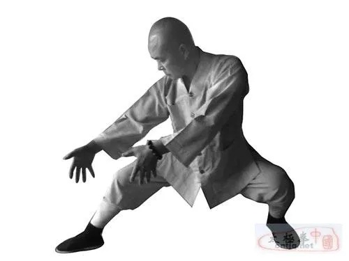 (铁拳功速成练法)揭秘铁拳功高级秘传练法:如何成为武林强者大师 (铁拳功速成练法)揭秘铁拳功高级秘传练法:如何成为武林强者大师