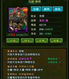 热血三国1神将令使用攻略：如何有效利用神将令提升战力和战斗策略？