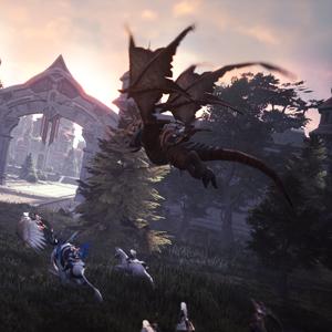 探索神城纪元公会的独特魅力与发展历程，揭示其在游戏社区中的重要角色