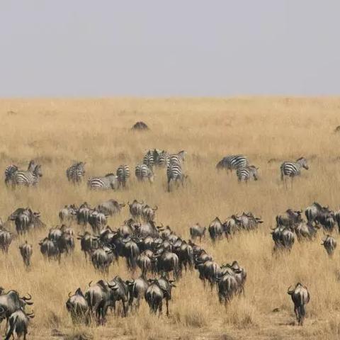 (少年侠客官方)少年侠客行手游：历经千辛万苦，谱写一段传奇江湖征途
