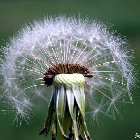 (球球环游世界小游戏)球球环球：探寻全球不同文化乐趣，让你的旅程更加精彩多彩