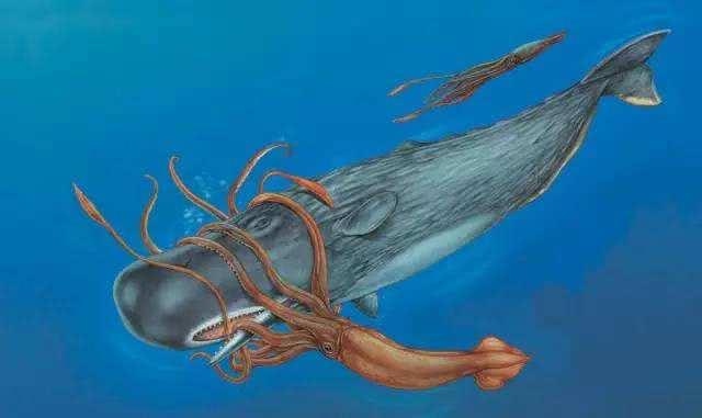 揭秘海怪大王乌贼的真相:揭秘神秘海底生物的真实身份和披露其惊人秘密 揭秘海怪大王乌贼的真相:揭秘神秘海底生物的真实身份和披露其惊人秘密