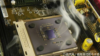 如何正确地为你的电脑主机清理灰尘，避免因灰尘积累引发故障问题？