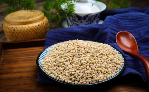 (偿愿人第一章)从偿愿人到结局如何？探寻故事背后的秘密和意义