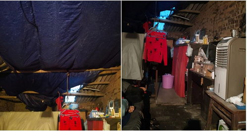 (偿愿人第一章)从偿愿人到结局如何？探寻故事背后的秘密和意义