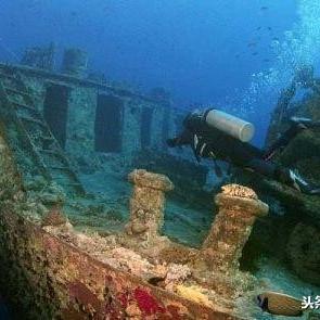 (小鱼探险故事内容)小鱼探险记：在神秘海域中发现友谊与勇气的奇幻旅程