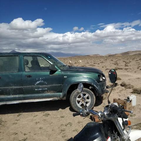 探寻未知秘境:迷宫HD版解谜游戏,挑战智慧与勇气,开启全新探险之旅 探寻未知秘境:迷宫HD版解谜游戏,挑战智慧与勇气,开启全新探险之旅