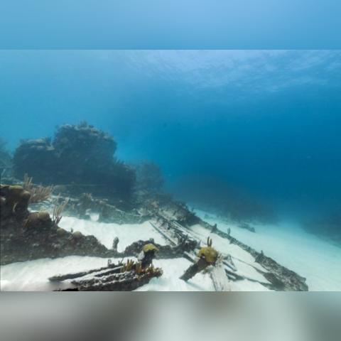 (航行物语香评)探索海上航行物语：航行物语香水揭秘与品鉴