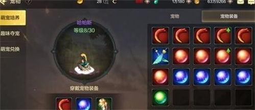 探索梦幻宠物联盟内购的精彩内容与实用技巧，提升你的游戏体验和宠物养成乐趣