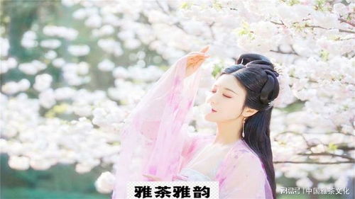 仗剑天涯路归来仍少年，风雨兼程，岁月无痕，留下无尽传奇与故事