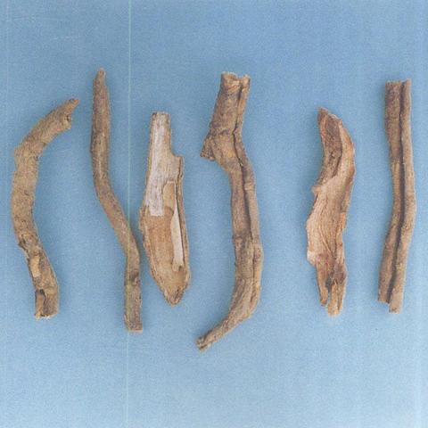 本草归元录修改：传统草药知识的更新和完善，让中医药传统更接近当代需要