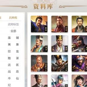 (攻城三国志礼包兑换:攻城三国志)攻城三国志VIP等级价格及特权解析：如何选择适合自己的VIP等级？