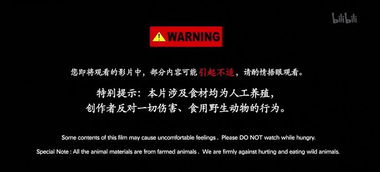 (我挑战你的底线)挑战你的底线：一场毫无节制可自由侵犯的游戏