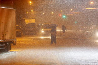 (弹雨的读音)弹雨抡：一场急促的冲刺，一场击碎雨滴的乐章