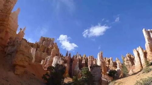 (天子峰老6)探寻天子峰老二的攻略:发现这座壮丽峰峰的隐藏之美 (天子峰老6)探寻天子峰老二的攻略:发现这座壮丽峰峰的隐藏之美