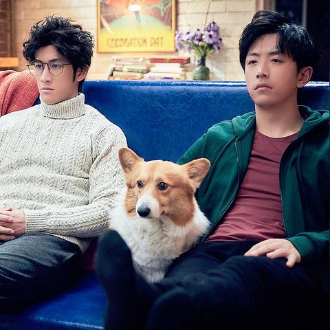 探讨为何《阿凡达2》未能超越前作,成为观众心中烂片的五大原因 探讨为何《阿凡达2》未能超越前作,成为观众心中烂片的五大原因