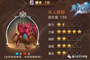 (卡拉比丘手游)探寻卡拉彼丘角色魅力：从个性到成长的心路历程详解