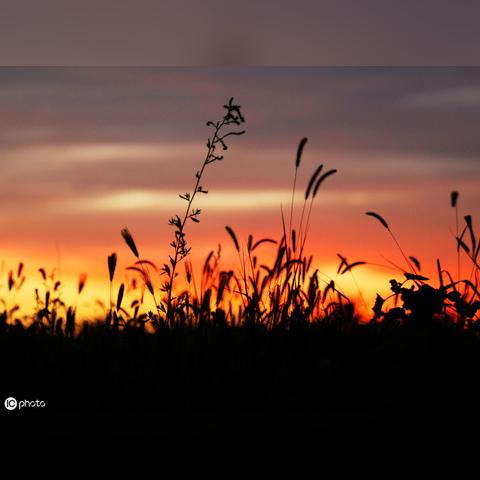 吃一口拉一坨折相思：从食欲到排泄，生死相随的生命律动