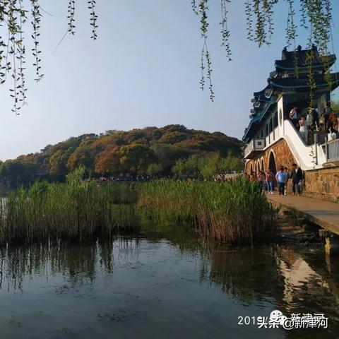 (仙界大乱斗)仙岛大乱斗游戏是否已被下架？玩家们怀念还是希望游戏归来