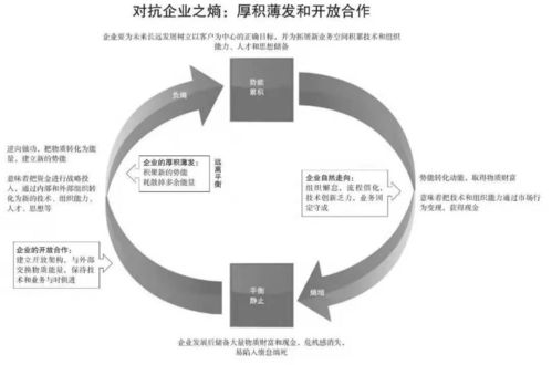 探讨军团与兵团的区别：组织结构、指挥体系与战斗战略的深入分析