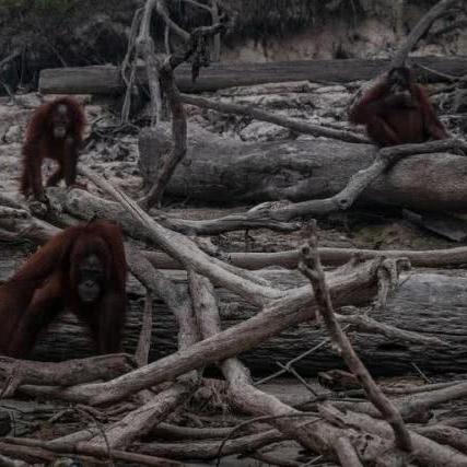 探寻自然之美：推荐几款开荒、种地、建房的游戏，让你尽情创造新世界