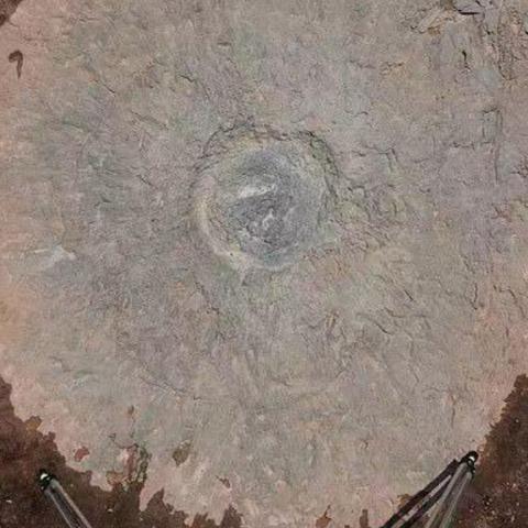 (阿尔托的冒险攻略技巧)神奇之地：探寻阿尔托的冒险山之灵