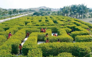 (绿梦生态园图片)探索绿梦生态园：全景图展示自然与人文交融的绝美风景！