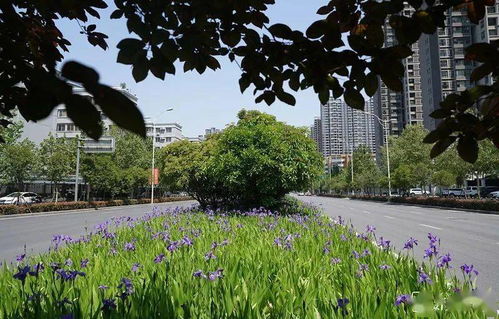 (绿梦生态园图片)探索绿梦生态园：全景图展示自然与人文交融的绝美风景！