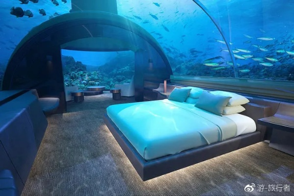 (创世纪海洋洞位置)创世纪海岛建家：探索海洋风情，打造梦幻海滨度假居所