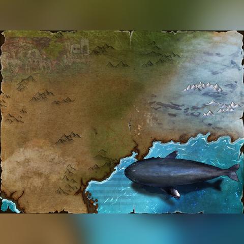 诺伊佩拉怎么打？全面解析技术要领，教你从零入门到高级玩家！