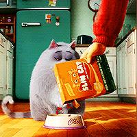 (爱宠大机密讲解)揭秘爱宠大机密：与宠物共度的惊心动魄冒险故事