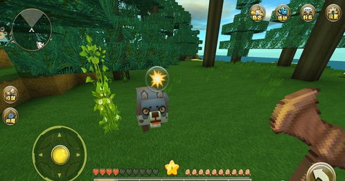 (迷你世界迷宫跑酷长什么样)迷你跑酷世界：在荒野迷宫中挑战极限生存与冒险的刺激体验