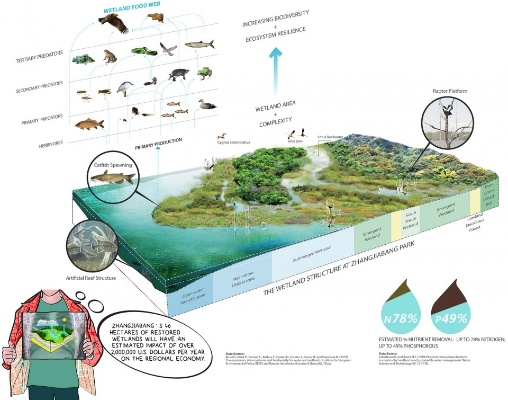 探索神奇水域进化的奥秘：揭示水下生态系统如何不断变迁与适应