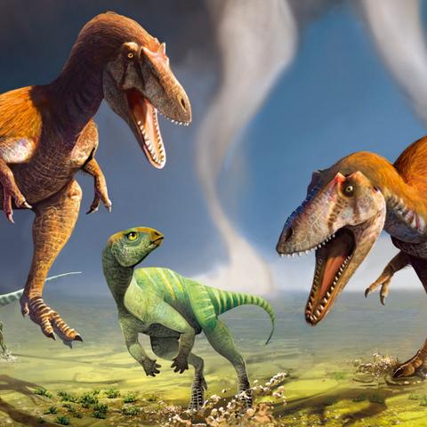 全面指南：获取《口袋妖怪口袋暴龙》金手指代码的技巧与使用方法