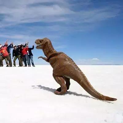 全面指南：获取《口袋妖怪口袋暴龙》金手指代码的技巧与使用方法