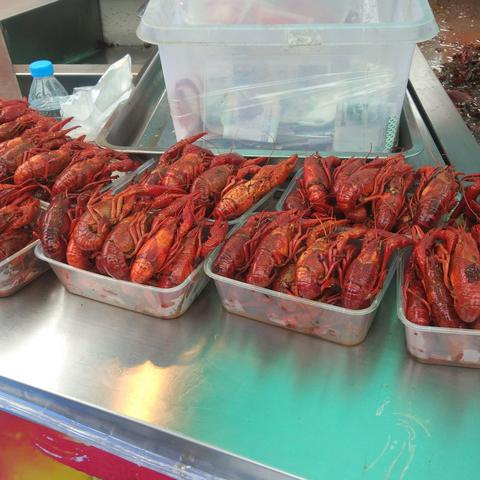 (梦幻美食任务攻略)梦幻美味挑战配方：打造美食奇迹，让味蕾心跳加速！