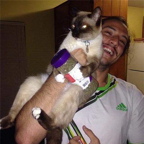 (吸猫会不会对身体不好)每次吸猫都带来意外的感觉,让你沉醉其中无法自拔 (吸猫会不会对身体不好)每次吸猫都带来意外的感觉,让你沉醉其中无法自拔