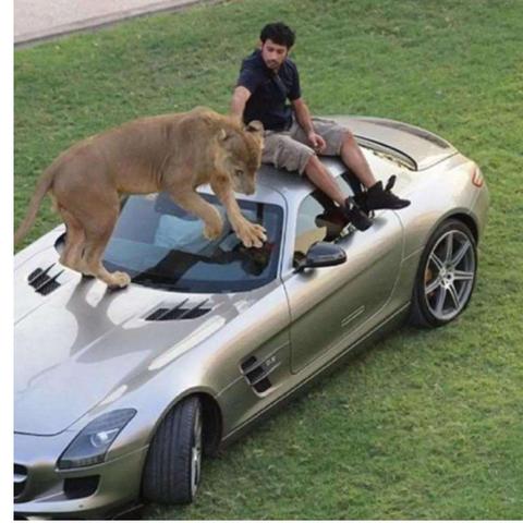 (老虎下山 车标)老虎下山车标是什么车？探秘老虎下山车的车型和特点