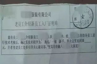 (蛋蛋小子的武器)探究蛋蛋小子人物名字的神秘背景以及角色介绍信息
