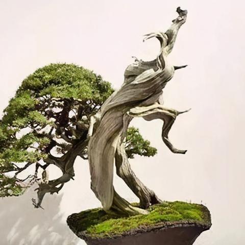 剥皮攻略联盟：探索皮肤剥落现象，为您提供有效解决方案和技巧