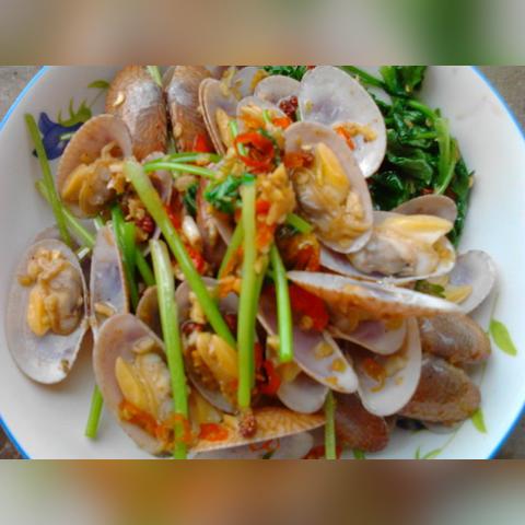 微信天天爱料理一共多少关？快来揭开这个美食挑战的神秘面纱！