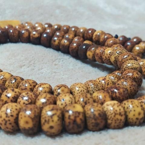 探索星月与命运之轮的神秘联系:宇宙奥秘与生命旅程的交错交织 探索星月与命运之轮的神秘联系:宇宙奥秘与生命旅程的交错交织