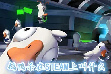 (杀鸭子杀成鹅的笑话)鹅鸭杀Steam是什么游戏？这款游戏有哪些特点和玩法？