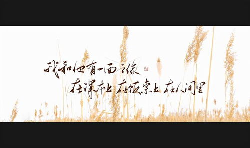 (重修旧好的唯美句子)重修旧好: 破镜重圆的新生命，两情相悦重新联结