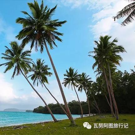 (森之国探险家)探寻森之国度:攻略指南、地图和绝密秘籍一网打尽 (森之国探险家)探寻森之国度:攻略指南、地图和绝密秘籍一网打尽