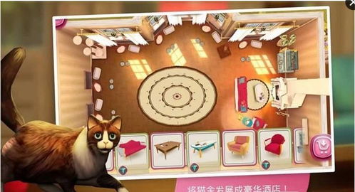 萌弟小筑全部解锁版:史上最可爱的猫咪乐园,全新玩法等你来探索! 萌弟小筑全部解锁版:史上最可爱的猫咪乐园,全新玩法等你来探索!